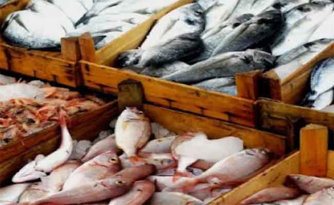 تخصيص أزيد من 200 نقطة بيع لمنتجات الصيد البحري