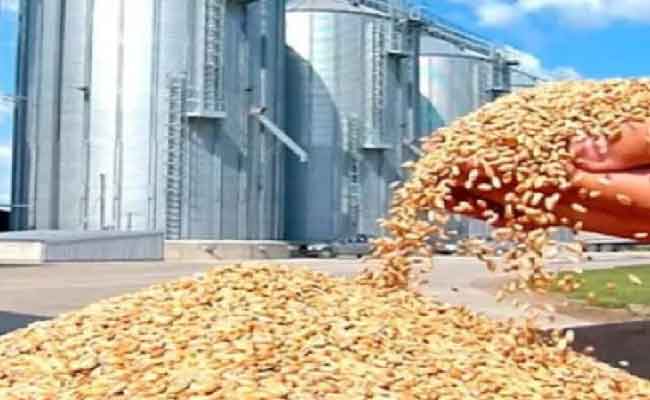 شرفة يكشف عن استلام 260 مركزاً جوارياً لتخزين الحبوب جوان القادم