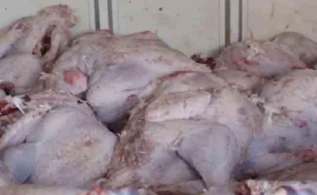 إحباط تسويق 8 قناطير من اللحوم البيضاء الفاسدة من مستودع سري  بوهران