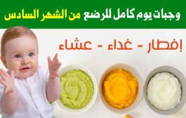 ما هو البرنامج المثالي لتغذية طفلك الرضيع في الشهر السادس؟