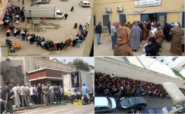 بسبب استحواذ جبهة البوليساريو على خيرات البلاد يوميا يقتل الجزائريين في حرب الطوابير