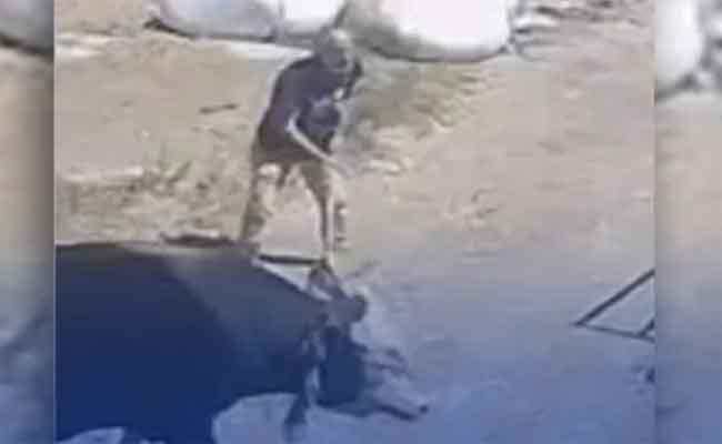 ضربة ثور تنهي حياة شخص بسطيف