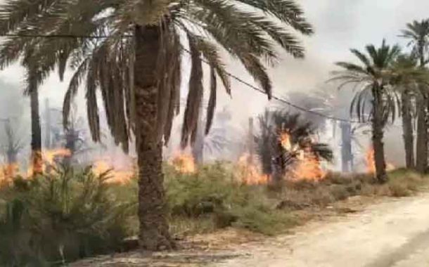 النيران تلتهم 112 نخلة بغابات النخيل بسيدي عمران بالمغير