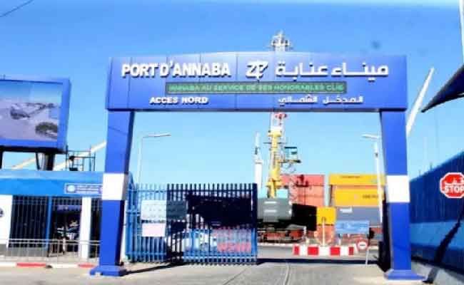 استيراد الموز بطريقة غير شرعية يطيح بشخصين