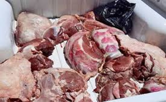 سكوب بسبب نفوق الأكباش الرومانية ترويج لحوم الكلاب والحمير بالجزائر أيام العيد