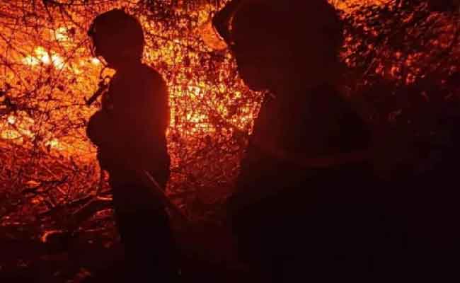 نشوب حريق بمنطقة مازر بلدية رأس جنات ببومرداس دون تسجيل خسائر بشرية