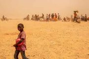 في حر الصيف الجنرالات يطردون ويرمون ألاف المهاجرين الافارقة في الصحراء بلا ماء وبلا طعام