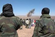 الطفل اللقيط (البوليساريو) يثور على أبويه (الجنرالات ) لجعل ولاية تندوف كيان منفصل عن الجزائر