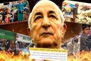 المواطن الجزائري في عهد تبون ضائع بين الجوع والفقر والدعارة