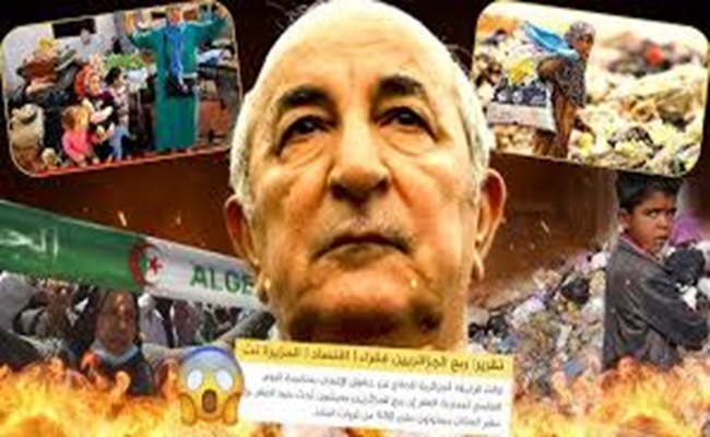 المواطن الجزائري في عهد تبون ضائع بين الجوع والفقر والدعارة