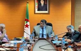 بكير يدعو إلى تكثيف العمل الرقابي والميداني على أسعار الموز والتفاح واللحوم الحمراء