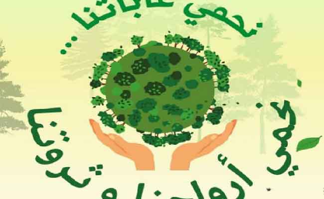 الداخلية تدعو المواطنين إلى التحلي بالوعي واتباع تعليمات الوقاية من حرائق الغابات