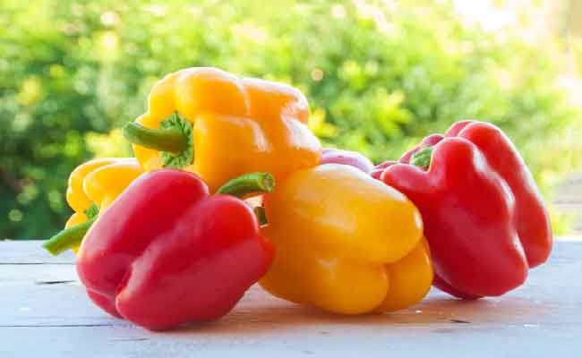 لماذا يعتبر الفلفل الرومي كنزًا غذائيًا وصحيًا للنساء؟