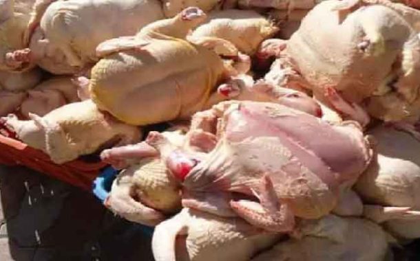 حجز 462 كلغ من اللحوم البيضاء الفاسدة ببجاية