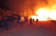اندلاع 22 حريقا في غابات وأدغال بـ8 ولايات