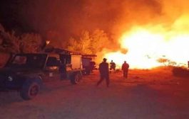 اندلاع 22 حريقا في غابات وأدغال بـ8 ولايات