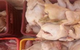 حبس شخص متلبسا بأزيد من 8 قناطير من اللحوم غير صالحة للاستهلاك بأم البواقي