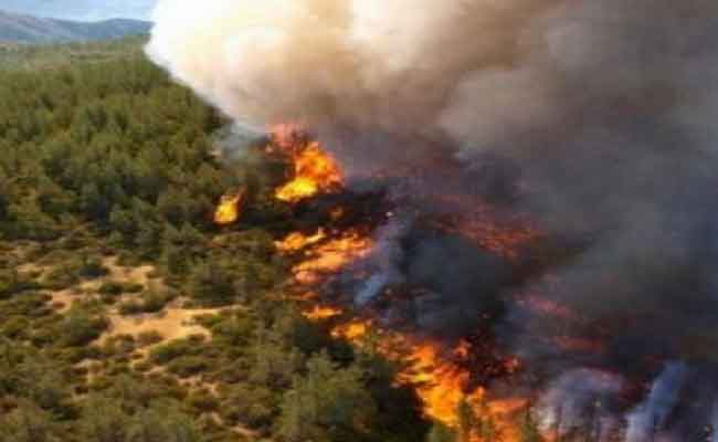 نشوب حريق في غابة ببرج الطهر في جيجل