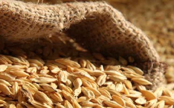 درك توقرت يحبط محاولة سرقة 342 قنطارًا من الشعير المدعم ويوقف 3 أشخاص