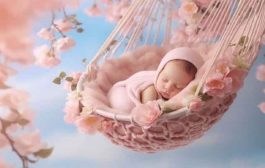 ما العلاقة بين فضول مولودك ومعدل ذكائه المبكر؟