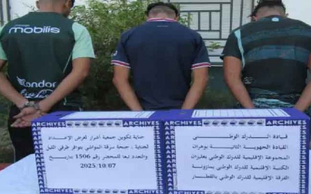 تفكيك شبكة إجرامية تحترف سرقة المواشي بغليزان