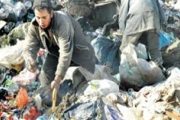 أطفال الجزائر ينافسون الكلاب والقطط المتشردة في البحث عن بواقي الاكل والفضلات في حظيرة الازبال...