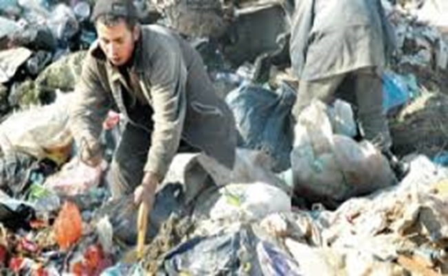 أطفال الجزائر ينافسون الكلاب والقطط المتشردة في البحث عن بواقي الاكل والفضلات في حظيرة الازبال...
