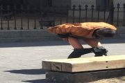شعار الجزائر الجديدة 