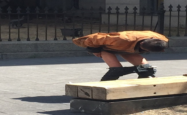 شعار الجزائر الجديدة 