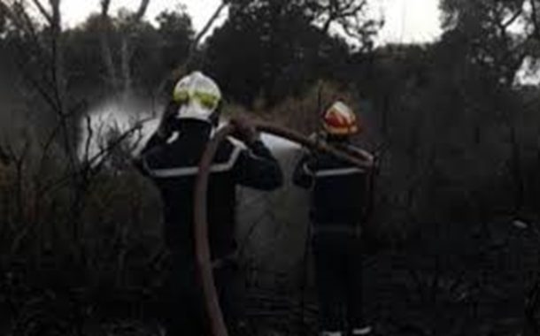 والي مستغانم يقف على إخماد حريق مهول بغابة بورحمة