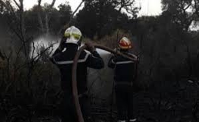 والي مستغانم يقف على إخماد حريق مهول بغابة بورحمة