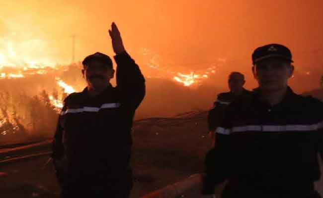 إجلاء 55 عائلة إلى مناطق آمنة  جراء حرائق تيبازة