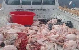 إتلاف أزيد من 142 كلغ من المواد فاسدة بثنية الحد بتيسمسيلت