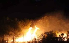 اندلاع 55 حريق غابات وأدغال وأحراش في عديد الولايات