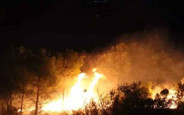 اندلاع 55 حريق غابات وأدغال وأحراش في عديد الولايات