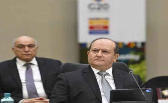 مشاركة غريب في اجتماع تشاوري بجوهانسبورغ