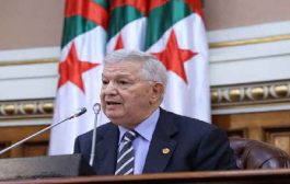 ناصري يؤكد أن الجزائر تبقى ثابتة على دعمها حتى تسوية القضية الفلسطينية بإنصاف وعدل