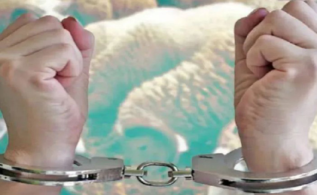 تفكيك شبكة إجرامية تحترف سرقة المواشي بغليزان