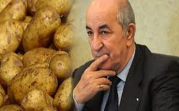 صدق أو لا تصدق البطاطس سلاح الجزائر الفتاك لغزو العالم