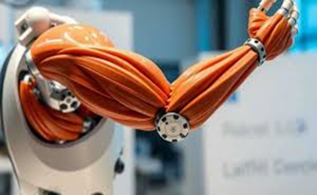 بالذكاء الاصطناعي...عضلات تعيد الحركة الطبيعية للجسم