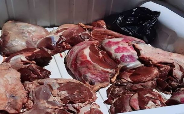أم البواقي...حجز واتلاف 135.65 كغ من اللحوم الحمراء و البيضاء والاحشاء فاسدة