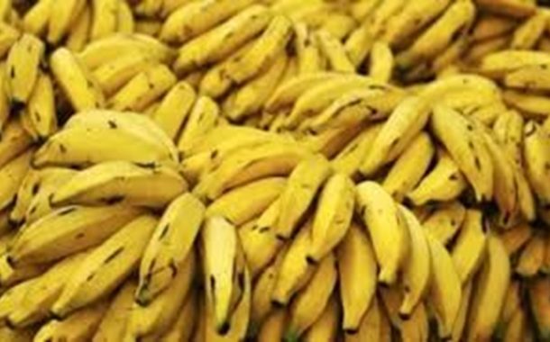 الوادي...حجز أزيد من 5 قناطير من فاكهة الموز