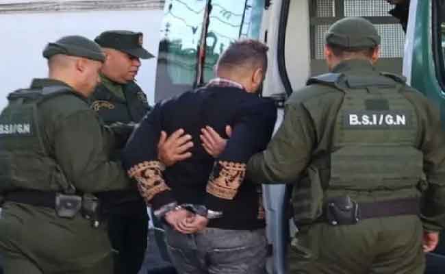 توقيف خمسيني زرع القنب الهندي بمزرعة سرية بواد غير ببجاية