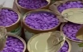 توقيف مسافر متلبسا بأزيد من قرص إكستازي في ميناء بجاية