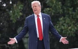 ولاية تكساس هي مسمار في حكم ترامب