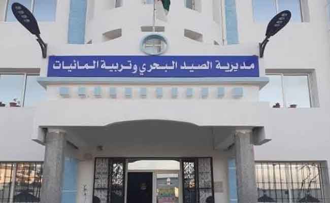 مديرية الصيد تدعو الصيادين والمهنيين إلى الامتناع التام عن الخروج بالقوارب والسفن