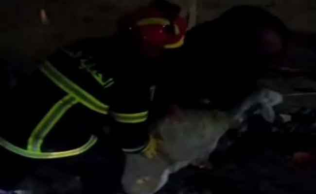 انهيار إسطبل يخلف نفوق 37 رأس غنم بالمدية