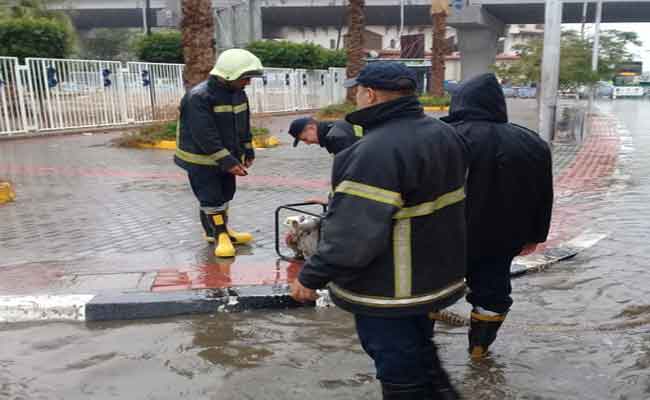 سقوط شجرة على طفل وانهيار جدار غرفتين وسقف مسكن و جدار فاصل بين مسكنين