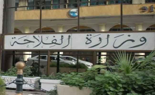 وزارة الفلاحة تقرر تزويد تزويد ولاية أدرار بستة مجففات للذرة وفتح 3 مراكز جوارية للتخزين