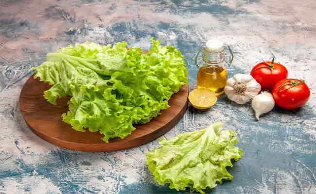 فوائد الخس في السحور: القيمة الغذائية وأثره الصحي على الجسم